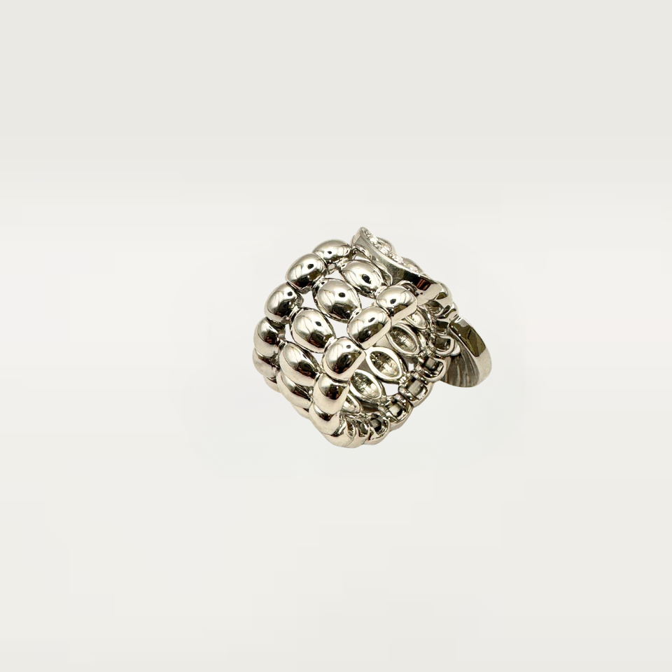 Anello FASCIA FIBIA silver